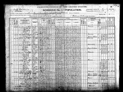 1900 US Census: Hawkins, Mabe, Shelton