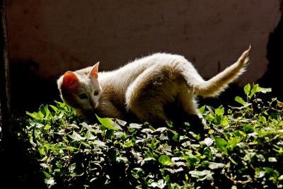 DSC_0016s.jpg