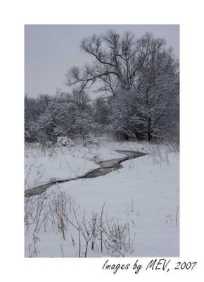 winter_2008