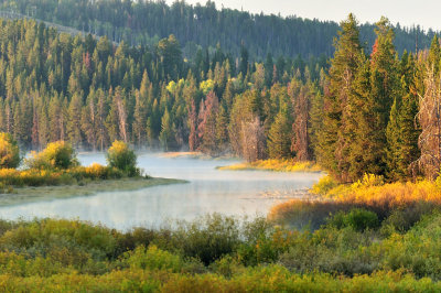 WY2_7718 Oxbow Bend