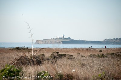 Pillar Point