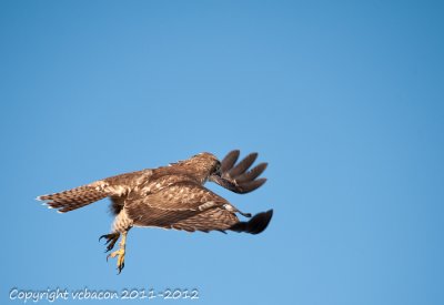 Taking off
