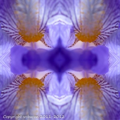 Just a simple Photoshop rearrangement of the previous image.
20120317-Magnetism.jpg