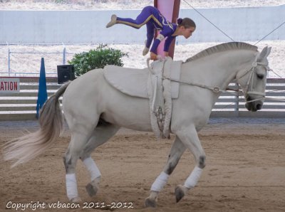 Horse Show-2163.jpg