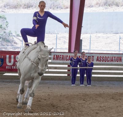 Horse Show-2187.jpg