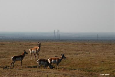 San Joaquin Valley