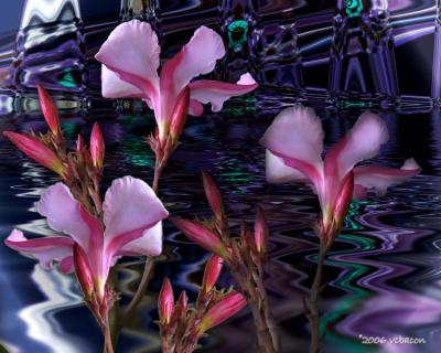 Flowers in the flood