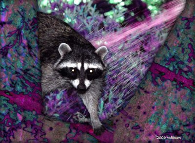 Frivolous Adventure
