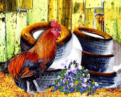 Barnyard Strut, #2
