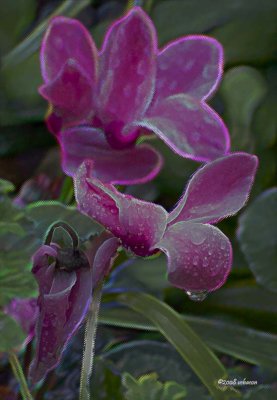 Touched by Rain