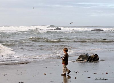 With the tide rising, parents really had to watch their kids.