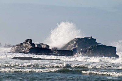 Wave Spray