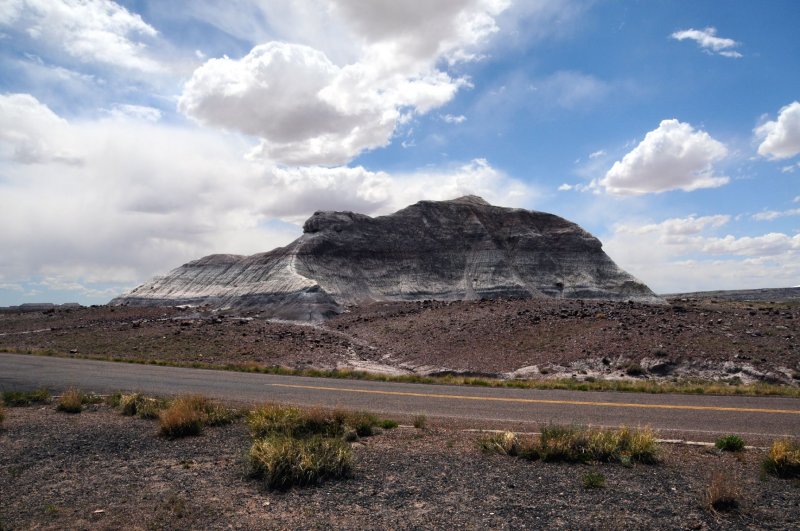 DSC_6441 Petrified Forest.jpg