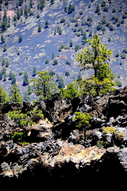 DSC_6699 Sunset Lava Flow.jpg