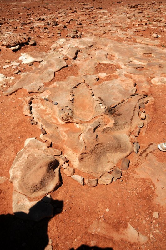 DSC_6826 Dinosaur Tracks Tuba AZ.jpg