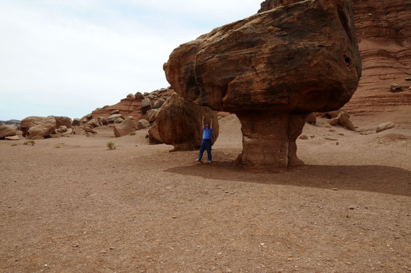 DSC_6885 Vermilion Cliffs Hwy Roadside Boulders & Paul.jpg