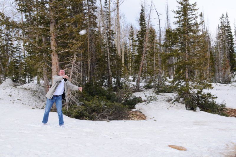 DSC_6896 Snowball on 89A.jpg