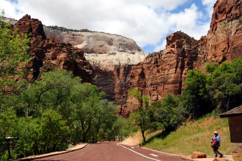 DSC_6963 Zion Canyon.jpg