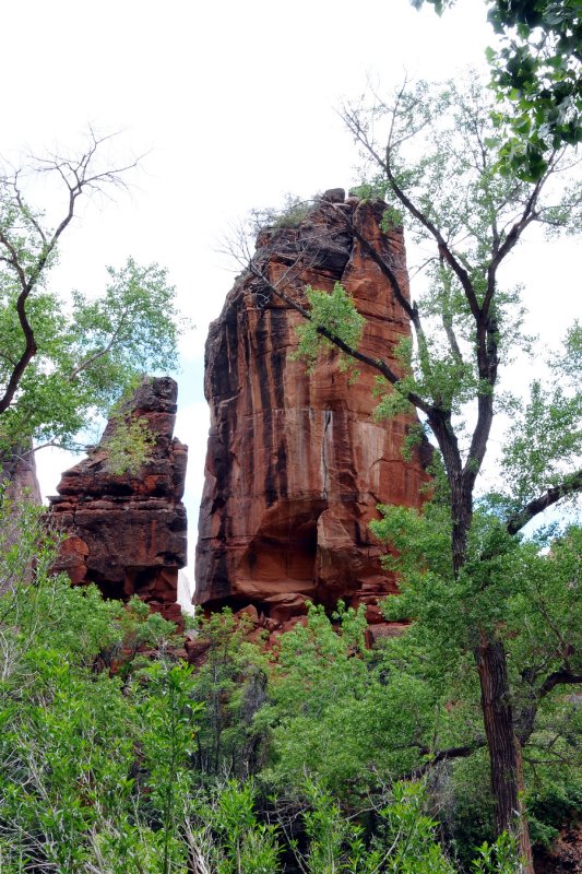 DSC_6986 Zion Canyon Temple of Sinawava.jpg
