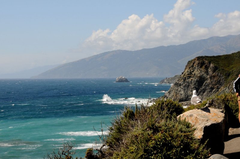 DSC_7319 Between Monterey & San Simeon.jpg
