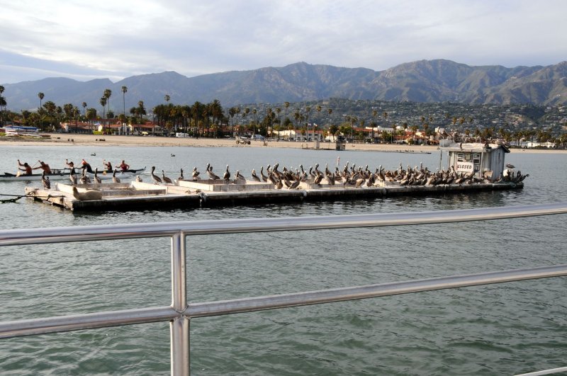 DSC_7467 Pelican Barge.jpg