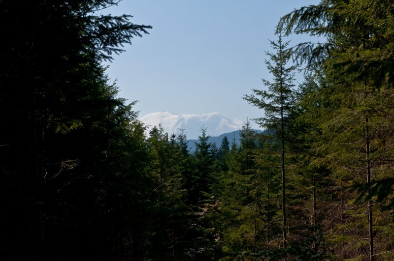 Mt Ranier.jpg