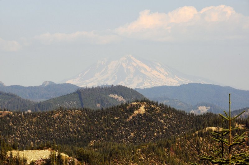 Mt Ranier from Mt St Helens.jpg