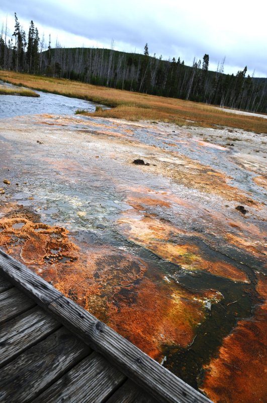 Yellowstone Black Sand Basin.jpg