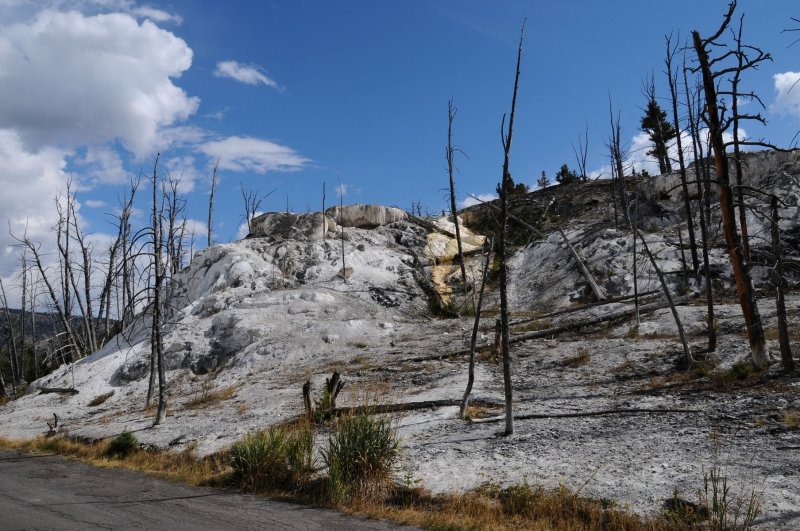 Yellowstone NP.jpg