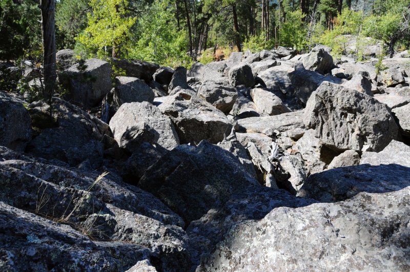 Devils Tower Rock Slide.jpg