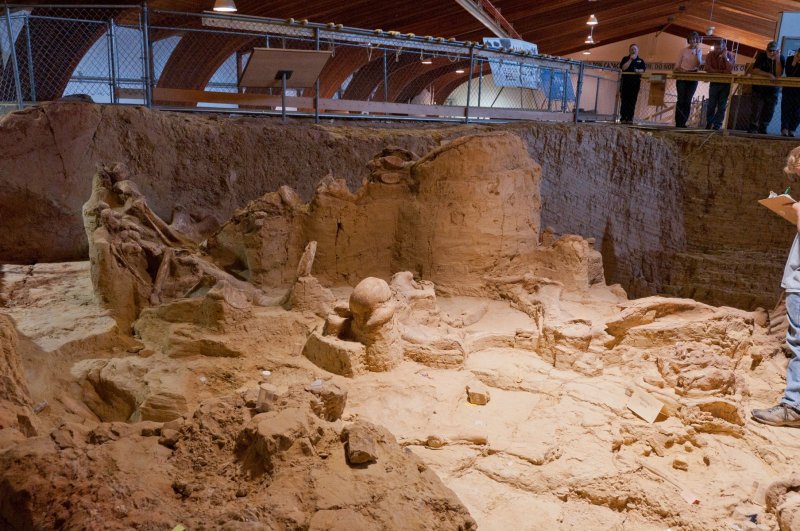 Mammoth Dig.jpg