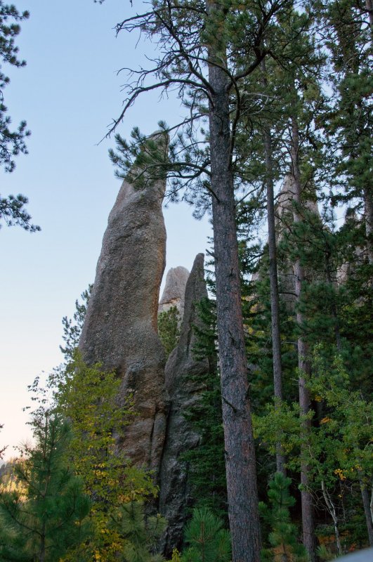 Custer State Park SD Needles.jpg