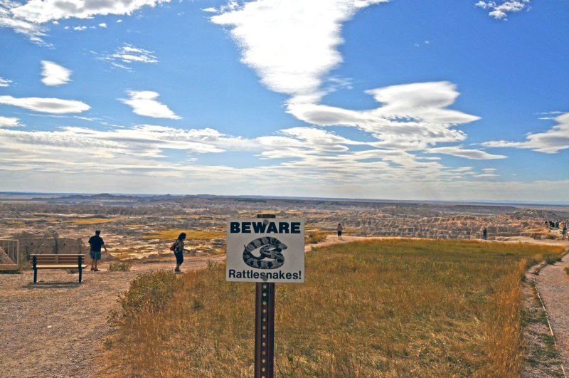 Badlands SD Overlook Rattlesnake Sign.jpg