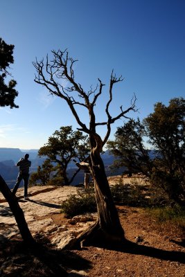 DSC_6643 Charlie Grand Canyon S Rim.jpg