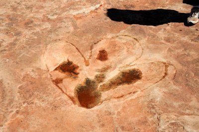 DSC_6816 Dinosaur Tracks Tuba AZ.jpg