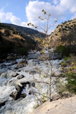 DSC_7132 California River.jpg