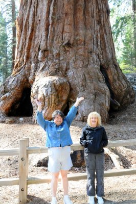 DSC_7232 Sequoia Ar & Bonnie in front of Gen Grant.jpg