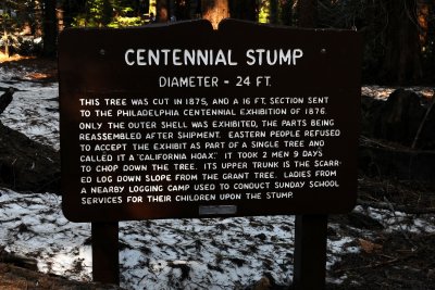 DSC_7270 Centennial Stump Sign.jpg