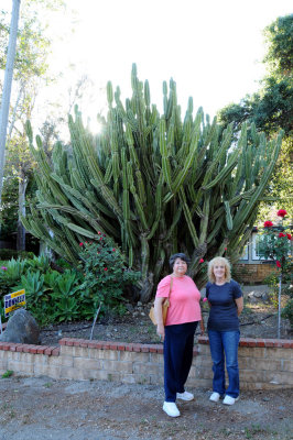 DSC_7561 Bonnie & Ar with Cactus.jpg