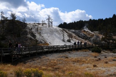 Yellowstone NP Mammoth Hot Springs.jpg