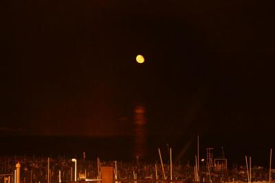 Nettuno Harbour At Night