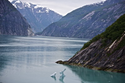 Tracy Arm Fjord