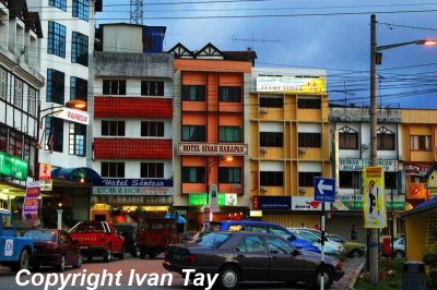 CameronHighlands_0017.jpg