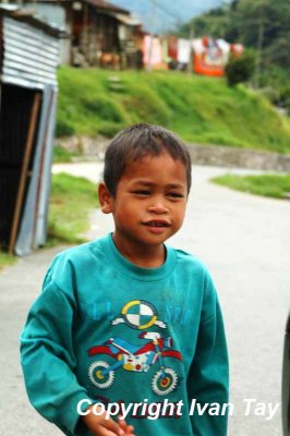 CameronHighlands_0064.jpg