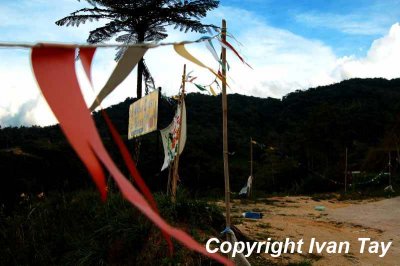 CameronHighlands_0085.jpg