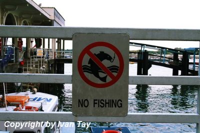 Clifford_Pier_0011.jpg