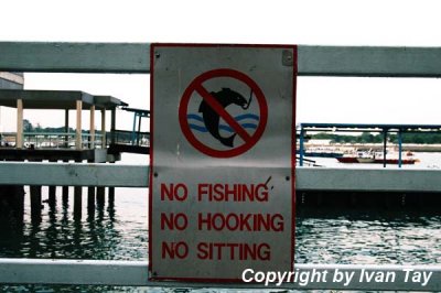 Clifford_Pier_0013.jpg