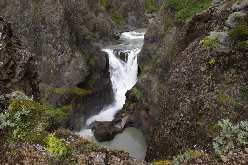 Npsrfoss