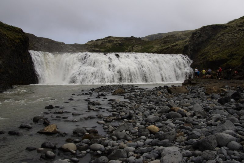 Foss  Nps