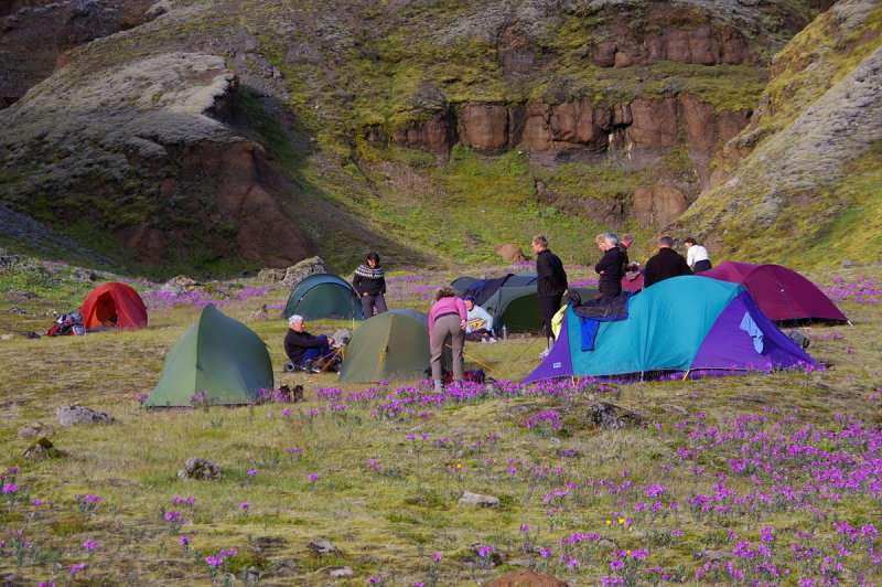 tjaldstaur vi Skessugljfur - Camping place at Skessugljfur